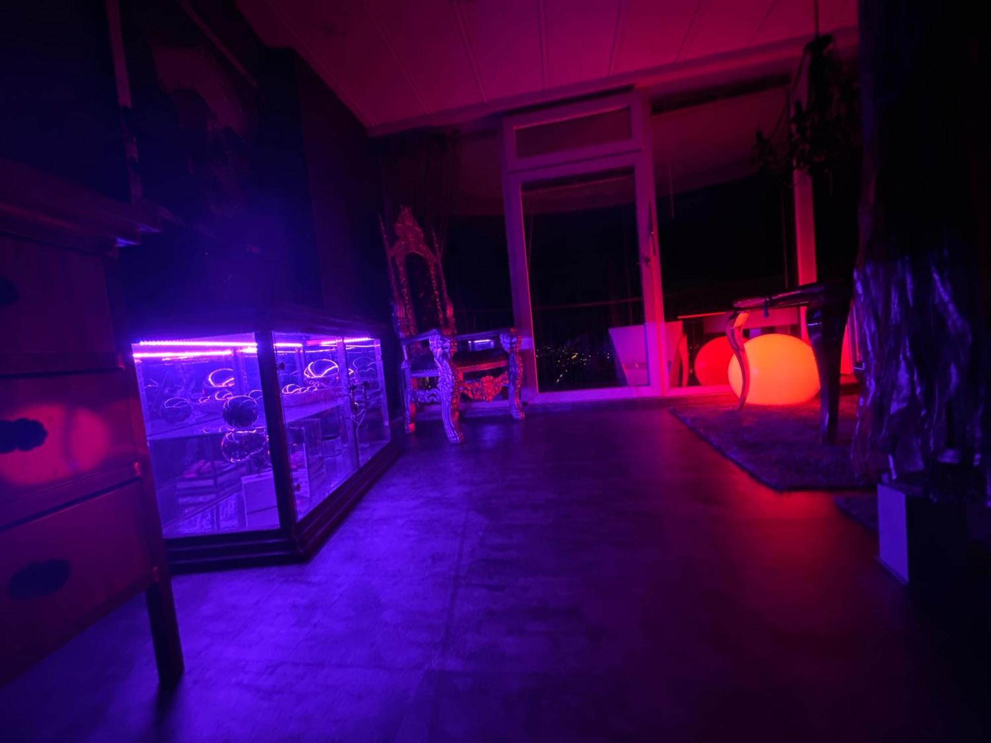 Royal - Sky - Apartament *